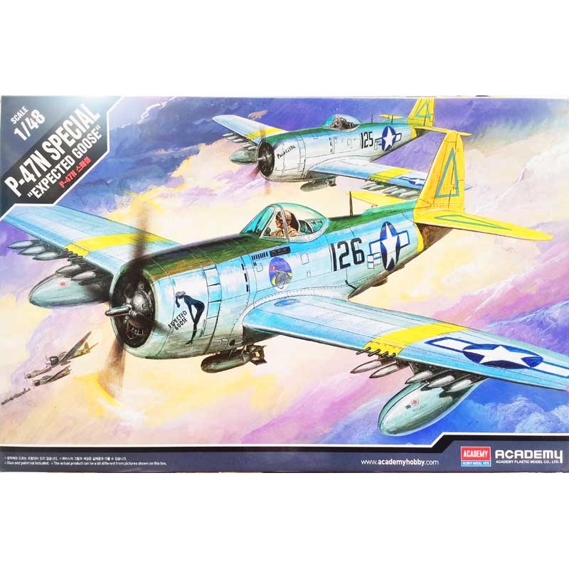 Academy_ P-47N Special "Expected Gooose"_ 1/48