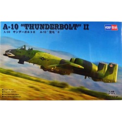 Hobby Boss_ A-10A Thunderbolt II_ 1/48