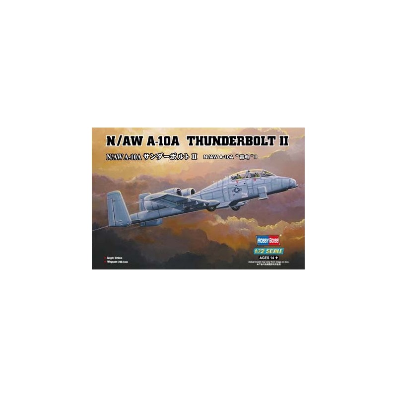 Hobby Boss_ N/AW A-10A Thunderbolt II_ 1/72
